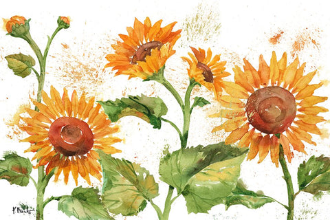 Arianna Sunflowers Horizontal - White Black Modern Wood Framed Art Print by Brent, Paul