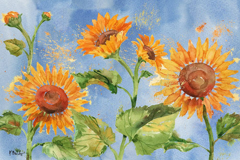 Arianna Sunflowers Horizontal - Sky Blue White Modern Wood Framed Art Print with Double Matting by Brent, Paul