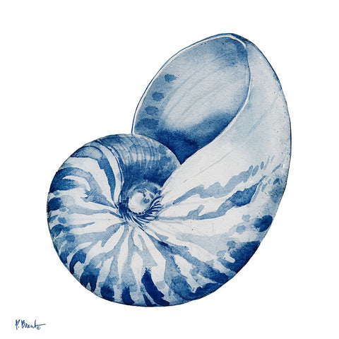 Grenada Shells I - Indigo White Modern Wood Framed Art Print with Double Matting by Brent, Paul