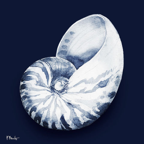 Grenada Shells I - Midnight White Modern Wood Framed Art Print with Double Matting by Brent, Paul