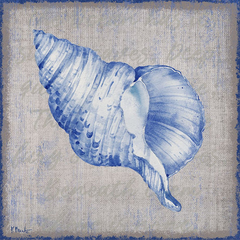 Grenada Shells III - Linen White Modern Wood Framed Art Print with Double Matting by Brent, Paul