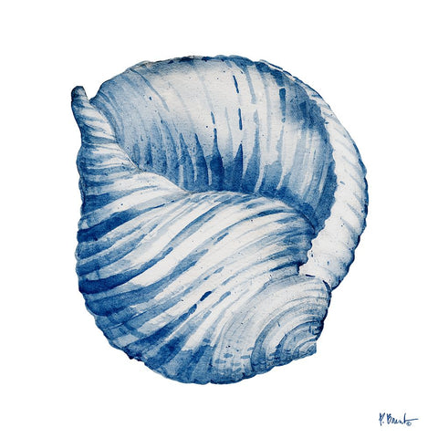 Grenada Shells IV - Indigo Black Modern Wood Framed Art Print by Brent, Paul