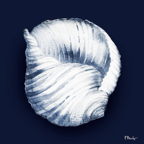 Grenada Shells IV - Midnight White Modern Wood Framed Art Print with Double Matting by Brent, Paul