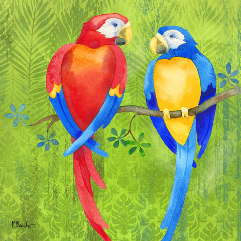 Bird Buddies II - Parrots White Modern Wood Framed Art Print with Double Matting by Brent, Paul