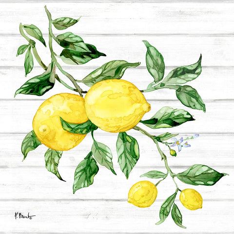 Sicilian Lemons I - Wood Black Ornate Wood Framed Art Print with Double Matting by Brent, Paul
