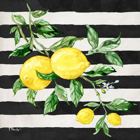 Sicilian Lemons I - Stripes Black Modern Wood Framed Art Print by Brent, Paul