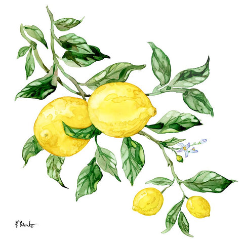 Sicilian Lemons I White Modern Wood Framed Art Print with Double Matting by Brent, Paul