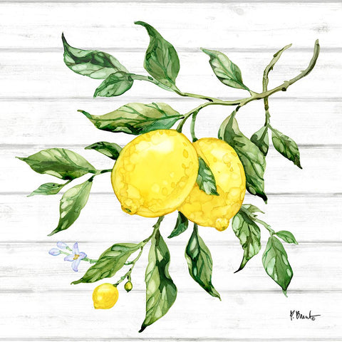 Sicilian Lemons II - Wood White Modern Wood Framed Art Print with Double Matting by Brent, Paul