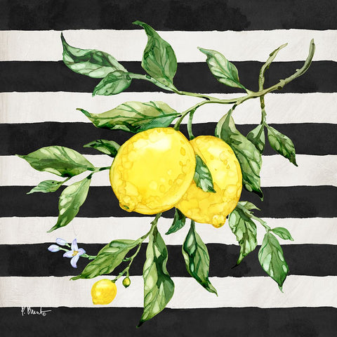 Sicilian Lemons II - Stripes Black Modern Wood Framed Art Print by Brent, Paul