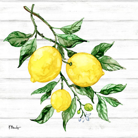 Sicilian Lemons III - Wood Black Modern Wood Framed Art Print by Brent, Paul