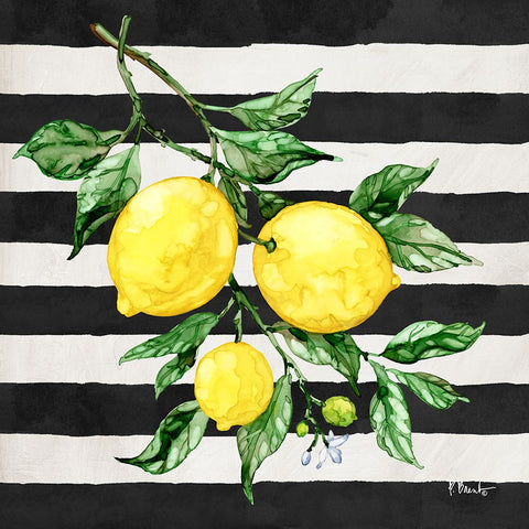 Sicilian Lemons III - Stripes White Modern Wood Framed Art Print with Double Matting by Brent, Paul