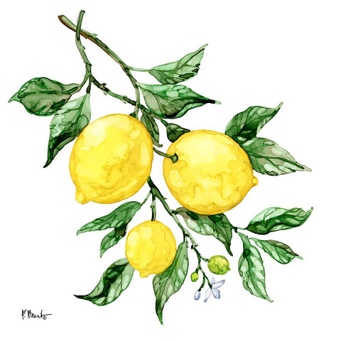 Sicilian Lemons III White Modern Wood Framed Art Print with Double Matting by Brent, Paul