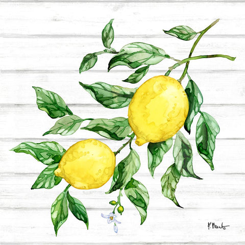 Sicilian Lemons IV - Wood Black Modern Wood Framed Art Print by Brent, Paul