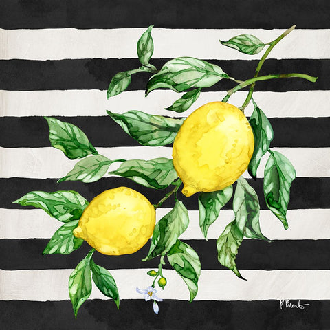 Sicilian Lemons IV - Stripes White Modern Wood Framed Art Print with Double Matting by Brent, Paul