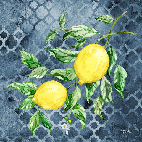 Sicilian Lemons IV - Indigo White Modern Wood Framed Art Print with Double Matting by Brent, Paul