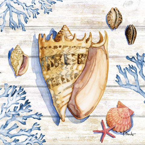 Bahia Shells Wood II White Modern Wood Framed Art Print with Double Matting by Brent, Paul