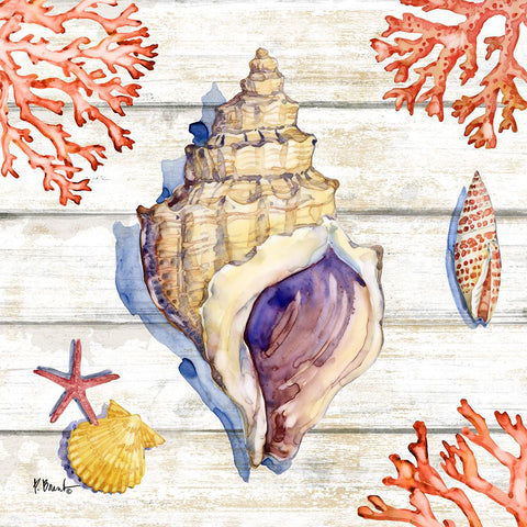 Bahia Shells Wood III Black Modern Wood Framed Art Print by Brent, Paul