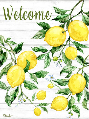 Sicilian Lemons Vertical White Modern Wood Framed Art Print with Double Matting by Brent, Paul