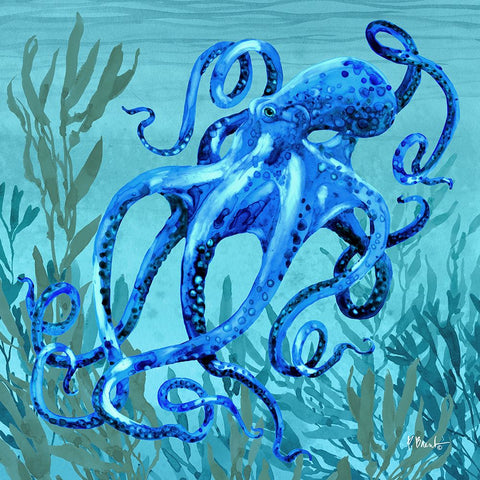 Tonga Sealife II White Modern Wood Framed Art Print with Double Matting by Brent, Paul