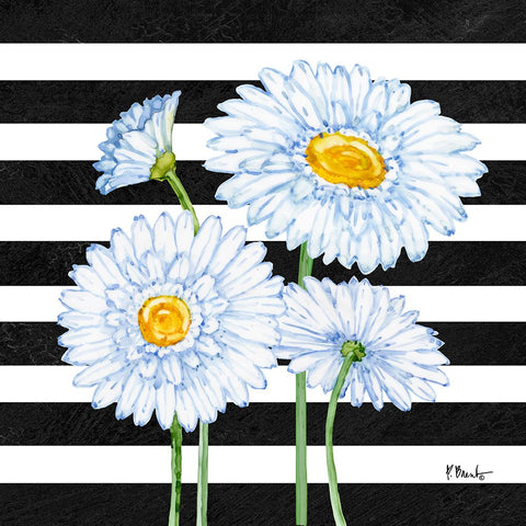 Helena Daisies II - Stripes White Modern Wood Framed Art Print with Double Matting by Brent, Paul