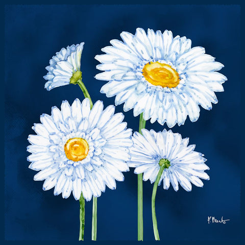 Helena Daisies II White Modern Wood Framed Art Print with Double Matting by Brent, Paul