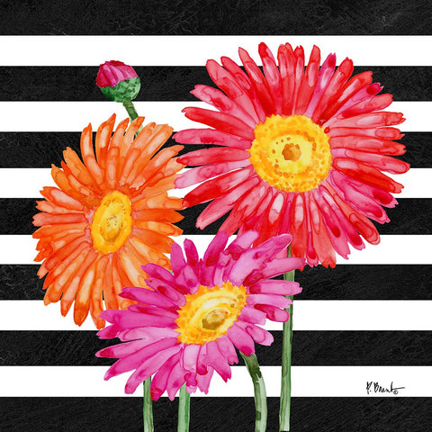 Helena Daisies IV - Stripes White Modern Wood Framed Art Print with Double Matting by Brent, Paul