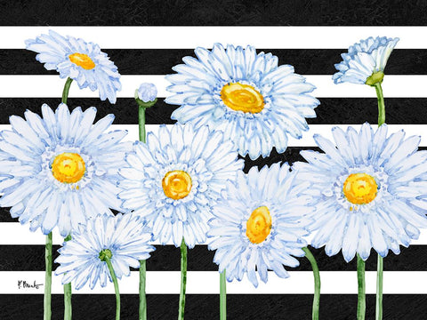 Helena Daisies Horizontal II - Stripes Black Modern Wood Framed Art Print by Brent, Paul