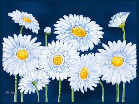 Helena Daisies Horizontal II Black Modern Wood Framed Art Print by Brent, Paul