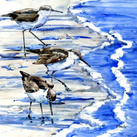 Rockhampton Sandpipers I White Modern Wood Framed Art Print with Double Matting by Brent, Paul