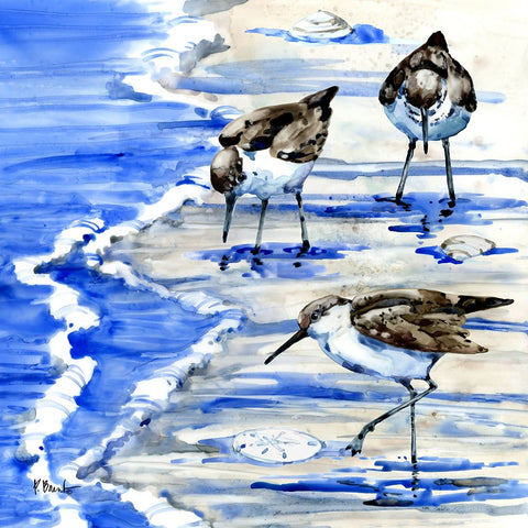 Rockhampton Sandpipers II White Modern Wood Framed Art Print with Double Matting by Brent, Paul