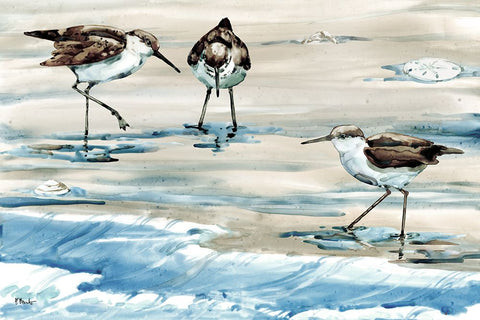 Rockhampton Sandpipers Horizontal - Light White Modern Wood Framed Art Print with Double Matting by Brent, Paul