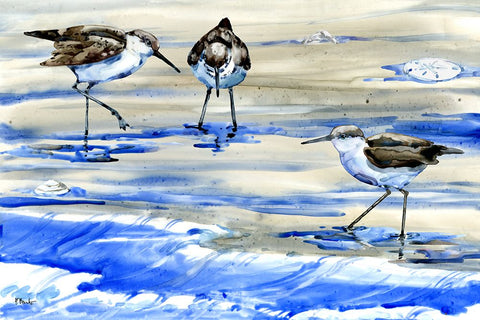 Rockhampton Sandpipers Horizontal White Modern Wood Framed Art Print with Double Matting by Brent, Paul