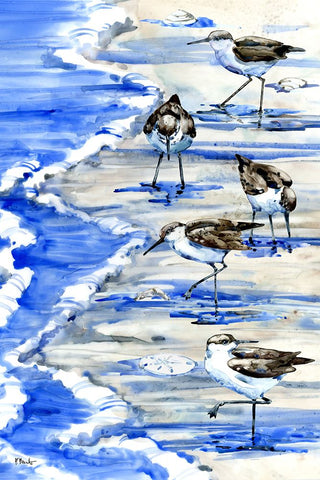 Rockhampton Sandpipers Vertical White Modern Wood Framed Art Print with Double Matting by Brent, Paul