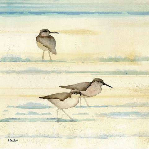 Oceanside Sandpipers I Black Modern Wood Framed Art Print by Brent, Paul