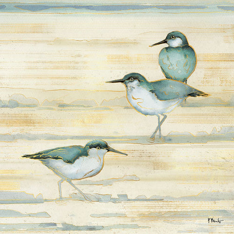 Oceanside Sandpipers II - Golden Black Modern Wood Framed Art Print by Brent, Paul