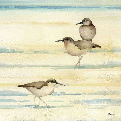 Oceanside Sandpipers II White Modern Wood Framed Art Print with Double Matting by Brent, Paul