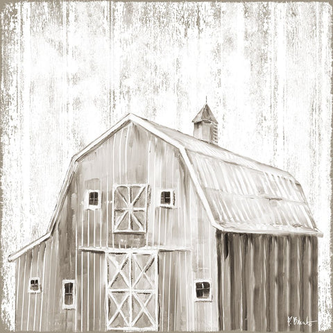 White Wood Barn IV White Modern Wood Framed Art Print with Double Matting by Brent, Paul