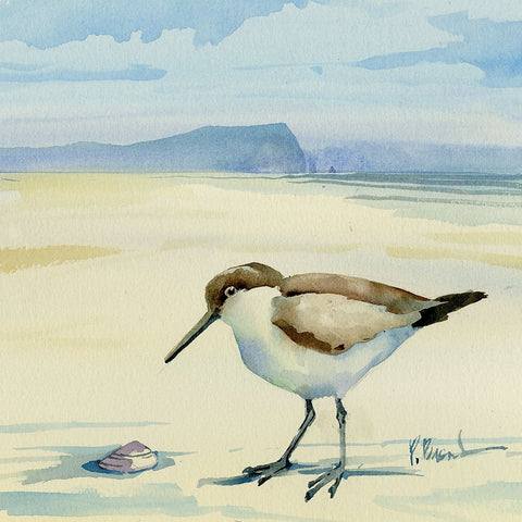 Oceanside Sandpiper and Shell Black Modern Wood Framed Art Print by Brent, Paul