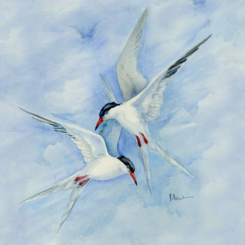 Terns in Flight White Modern Wood Framed Art Print with Double Matting by Brent, Paul