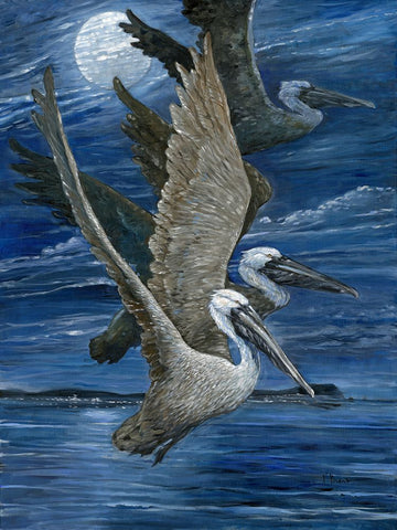 Pelican Nocturne White Modern Wood Framed Art Print with Double Matting by Brent, Paul