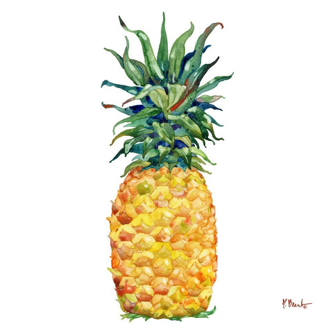 Kona Pineapple I Black Modern Wood Framed Art Print by Brent, Paul