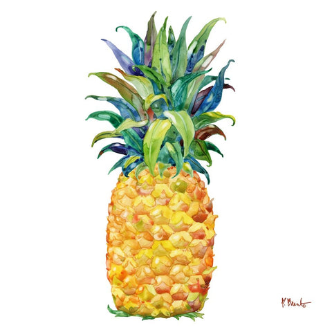 Kona Pineapple II Black Modern Wood Framed Art Print by Brent, Paul