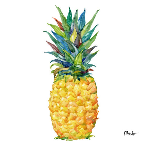 Kona Pineapple III White Modern Wood Framed Art Print with Double Matting by Brent, Paul