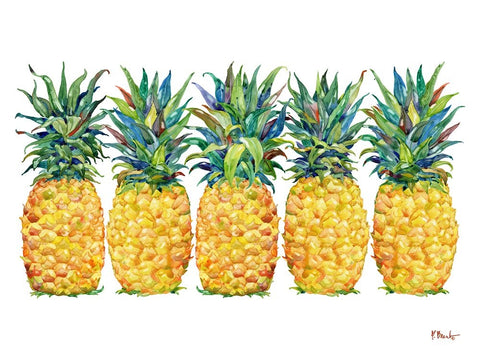 Kona Pineapple Horizontal White Modern Wood Framed Art Print with Double Matting by Brent, Paul