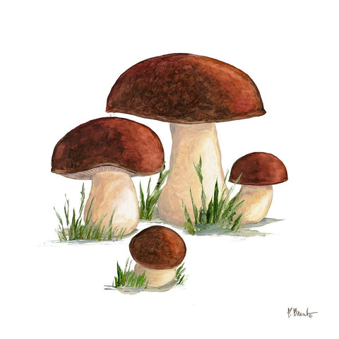 Mushroom Patch I White Modern Wood Framed Art Print with Double Matting by Brent, Paul