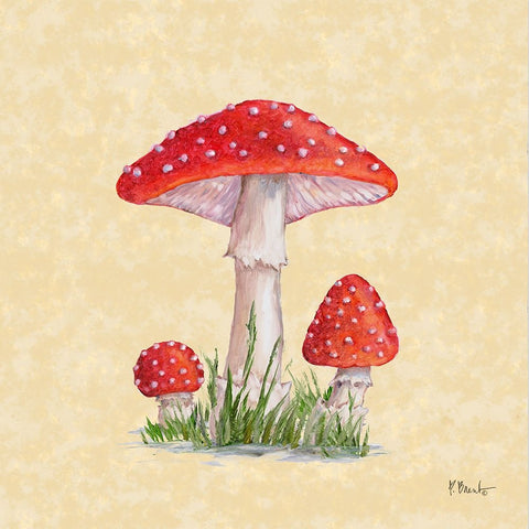 Mushroom Patch II - Parchment White Modern Wood Framed Art Print with Double Matting by Brent, Paul