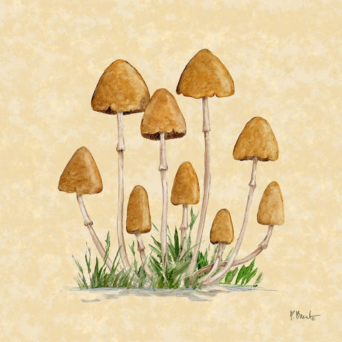 Mushroom Patch III - Parchment White Modern Wood Framed Art Print with Double Matting by Brent, Paul