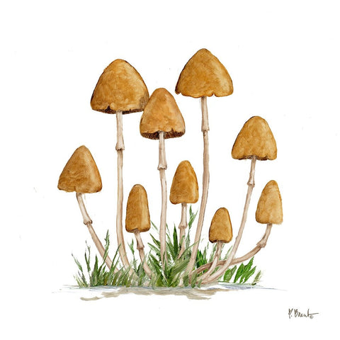 Mushroom Patch III White Modern Wood Framed Art Print with Double Matting by Brent, Paul