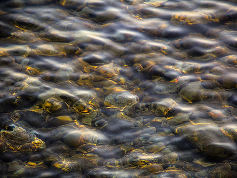 Abstract 16 White Modern Wood Framed Art Print with Double Matting by Lee, Rachel