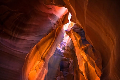 Antelope Canyon 4 Black Ornate Wood Framed Art Print with Double Matting by Lee, Rachel